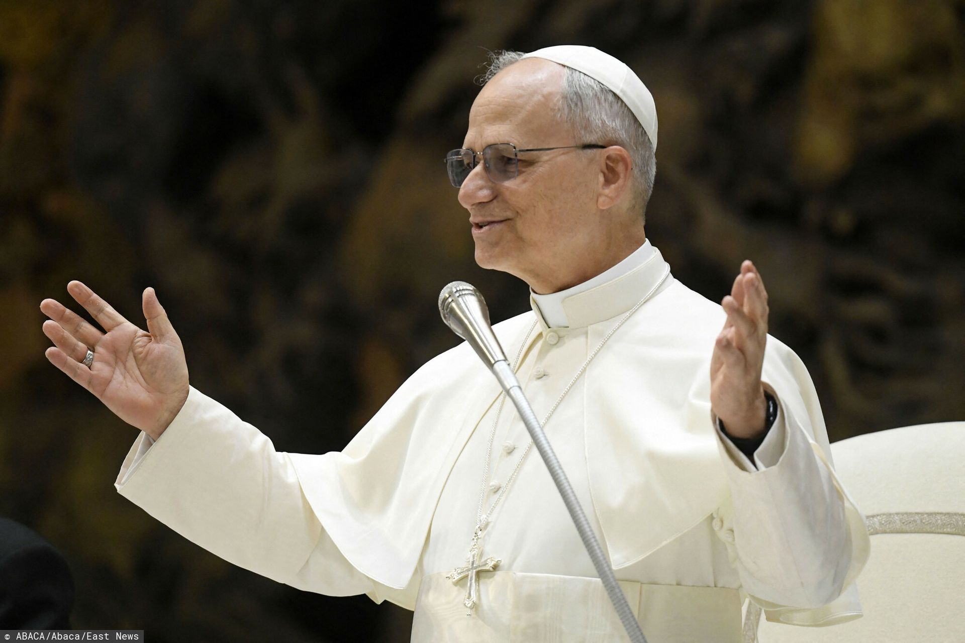 Papież Leon XIV o beatyfikacji księdza Streicha: Wzór poświęcenia dla Ewangelii