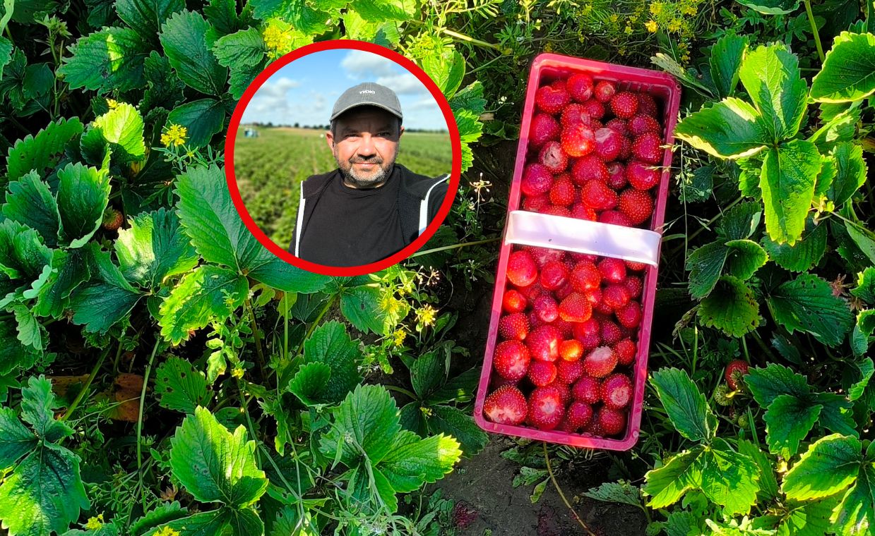 Da się zarobić 500 zł dziennie? Sprawdziłem, czy to prawda