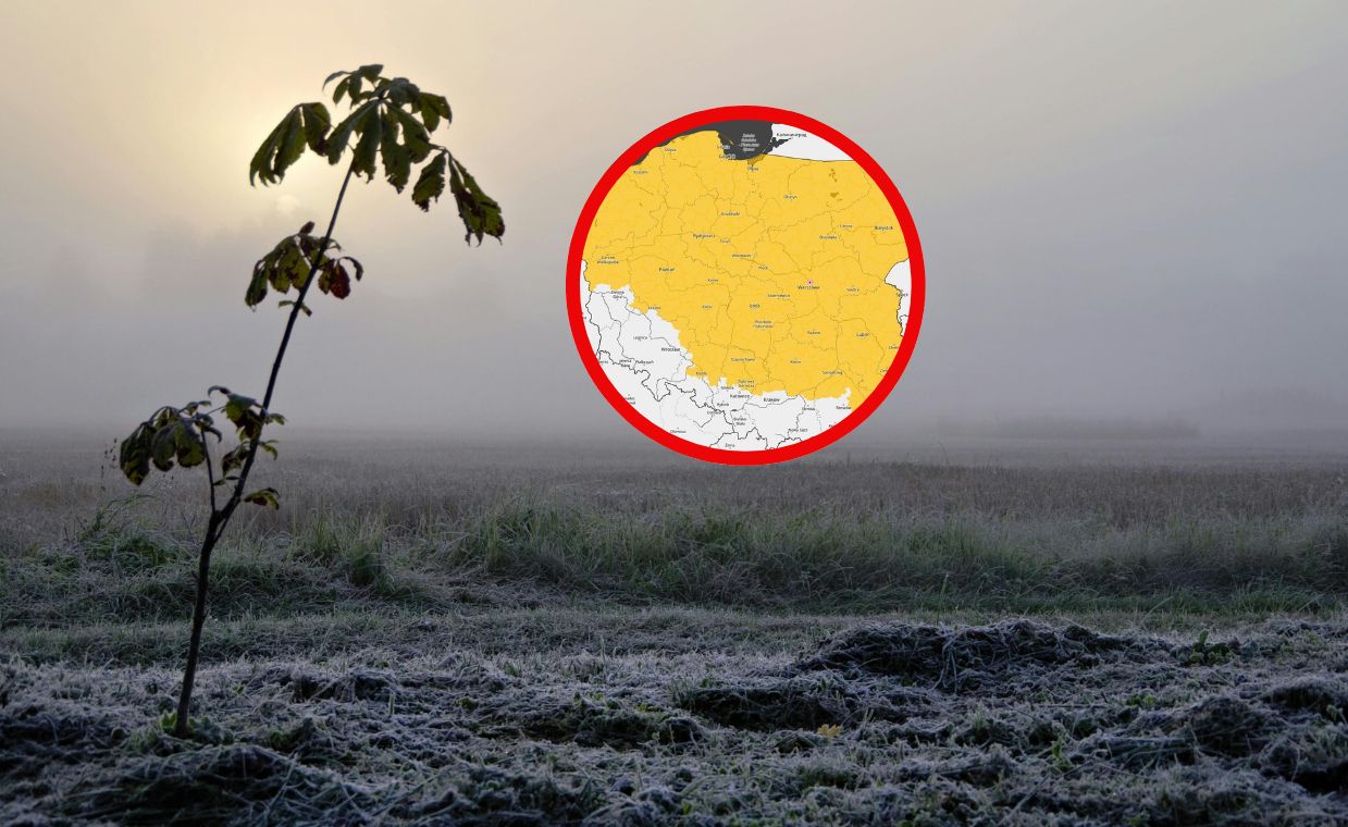 Weekendowe przymrozki. Jest ostrzeżenie IMGW