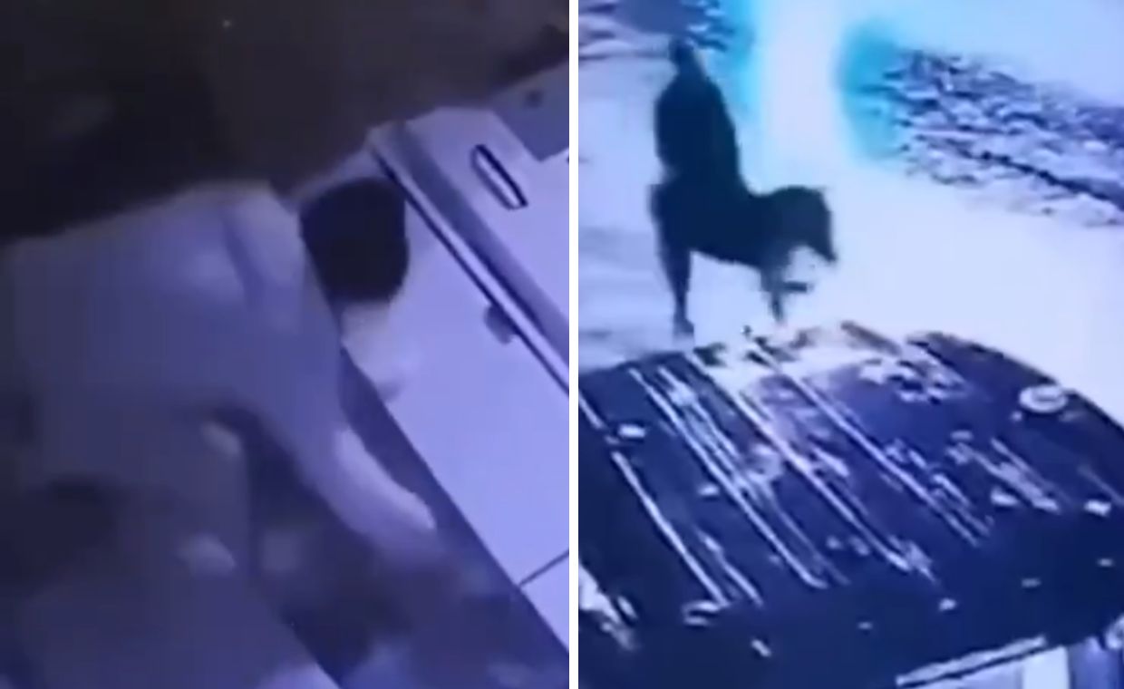 Turcja. Mężczyzna okradł jubilera i uciekł na osiołku