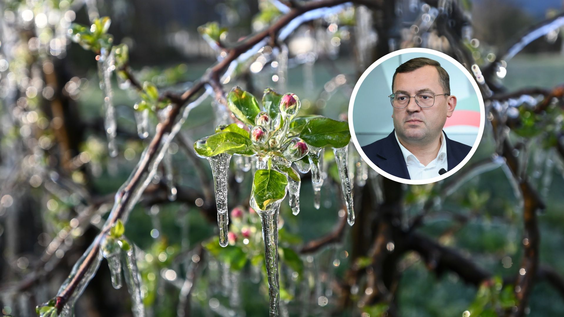 Apel o stan klęski żywiołowej. Minister zabrał głos