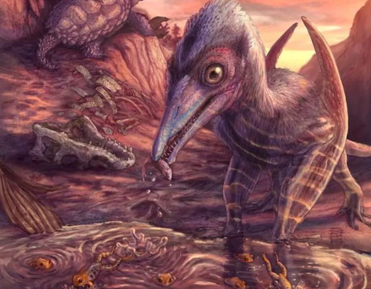 Jeden z najstarszych pterozaurów. Miał rozmiary mewy