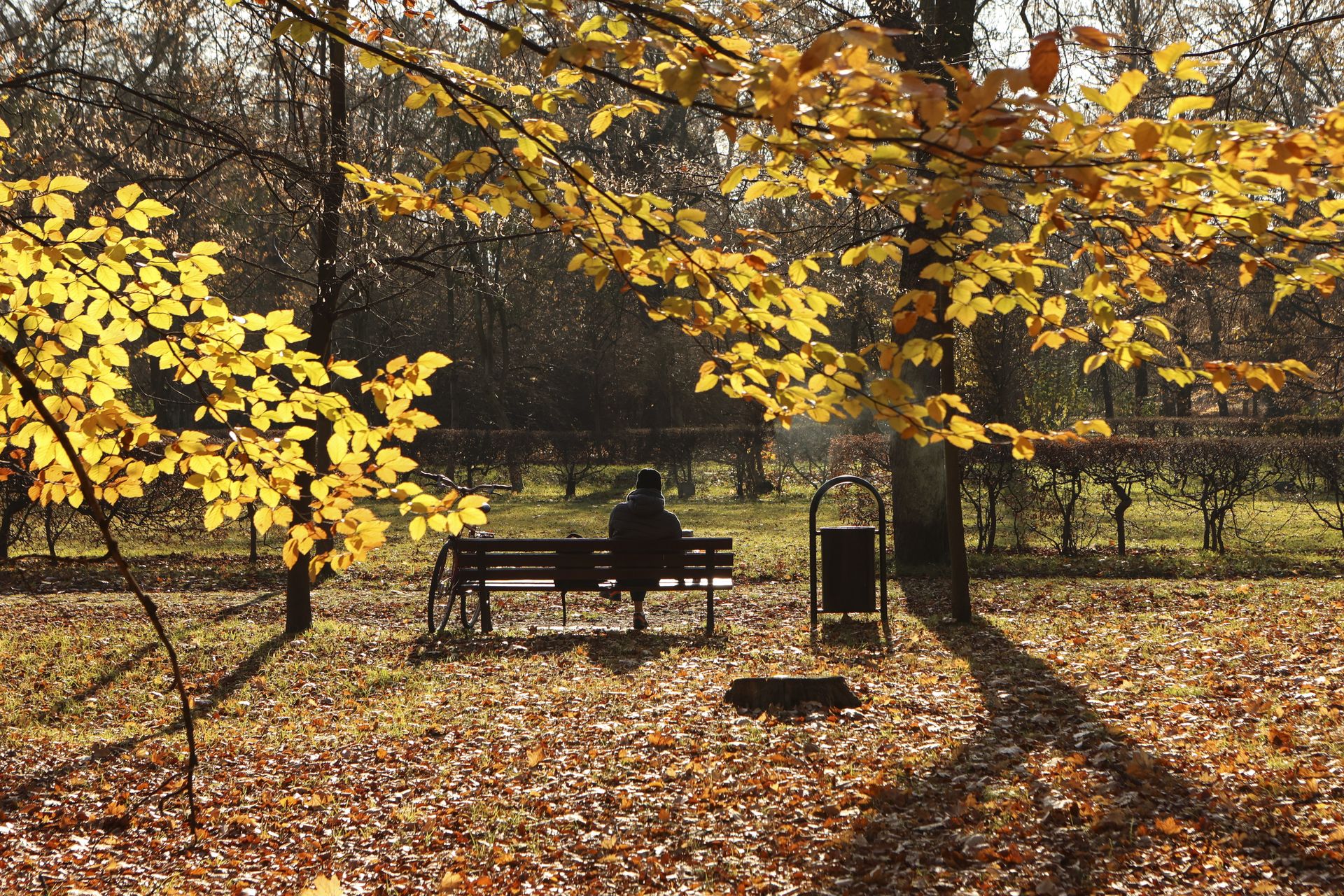 Po mrozach przyjdzie ocieplenie. choćby 15 stopni na początku grudnia
