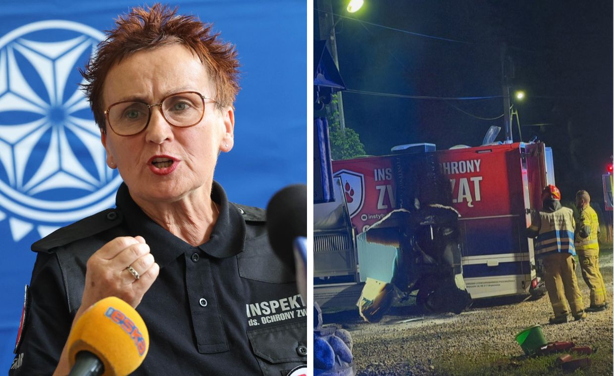 Awantura z góralami. Aktywistka o "okrucieństwie" i "bandziorze"