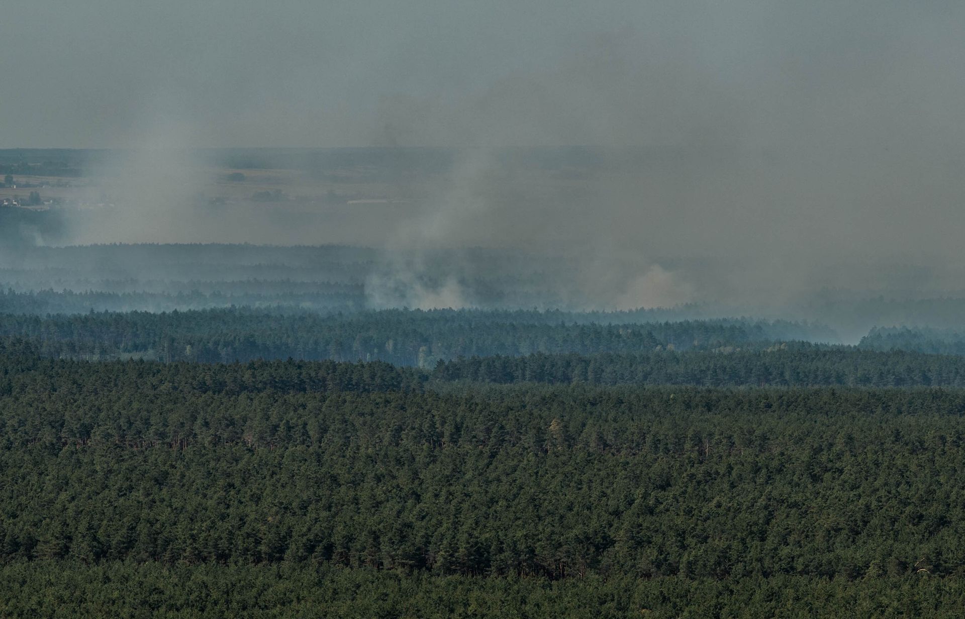 Pożar w Puszczy Solskiej. Płoną chronione torfowiska i bory bagienne