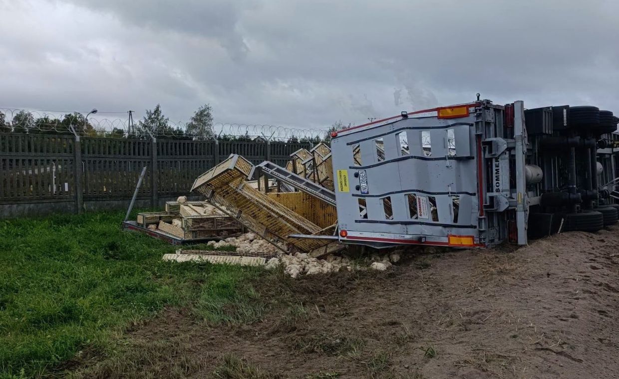 Trudna akcja służb. Ciężarówka z tysiącami kurczaków w rowie