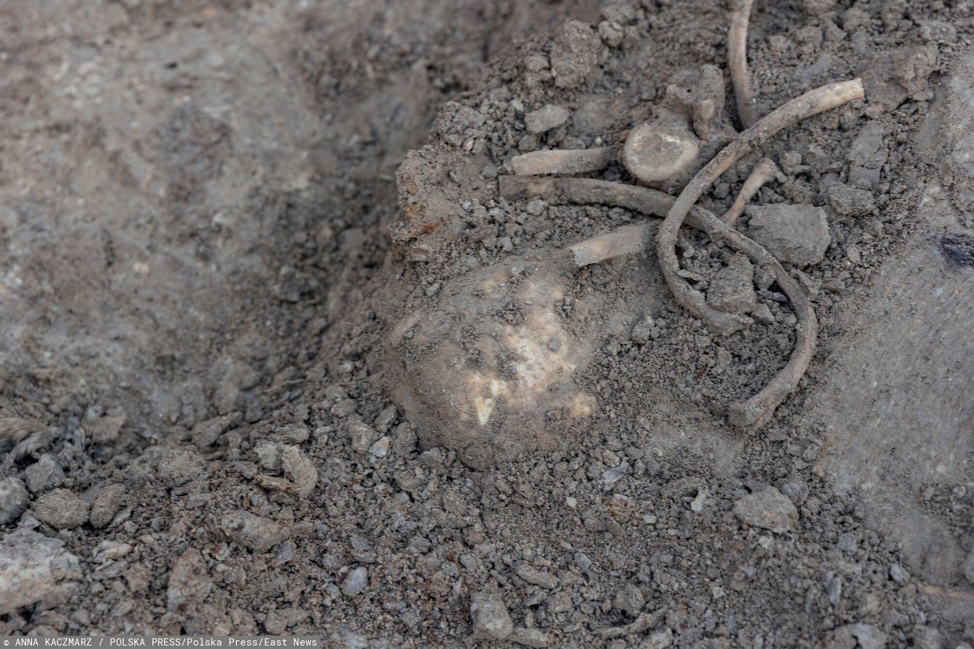 Najpierw trzewik. Teraz miecz. Kolejny historyczny artefakt pod Iławą