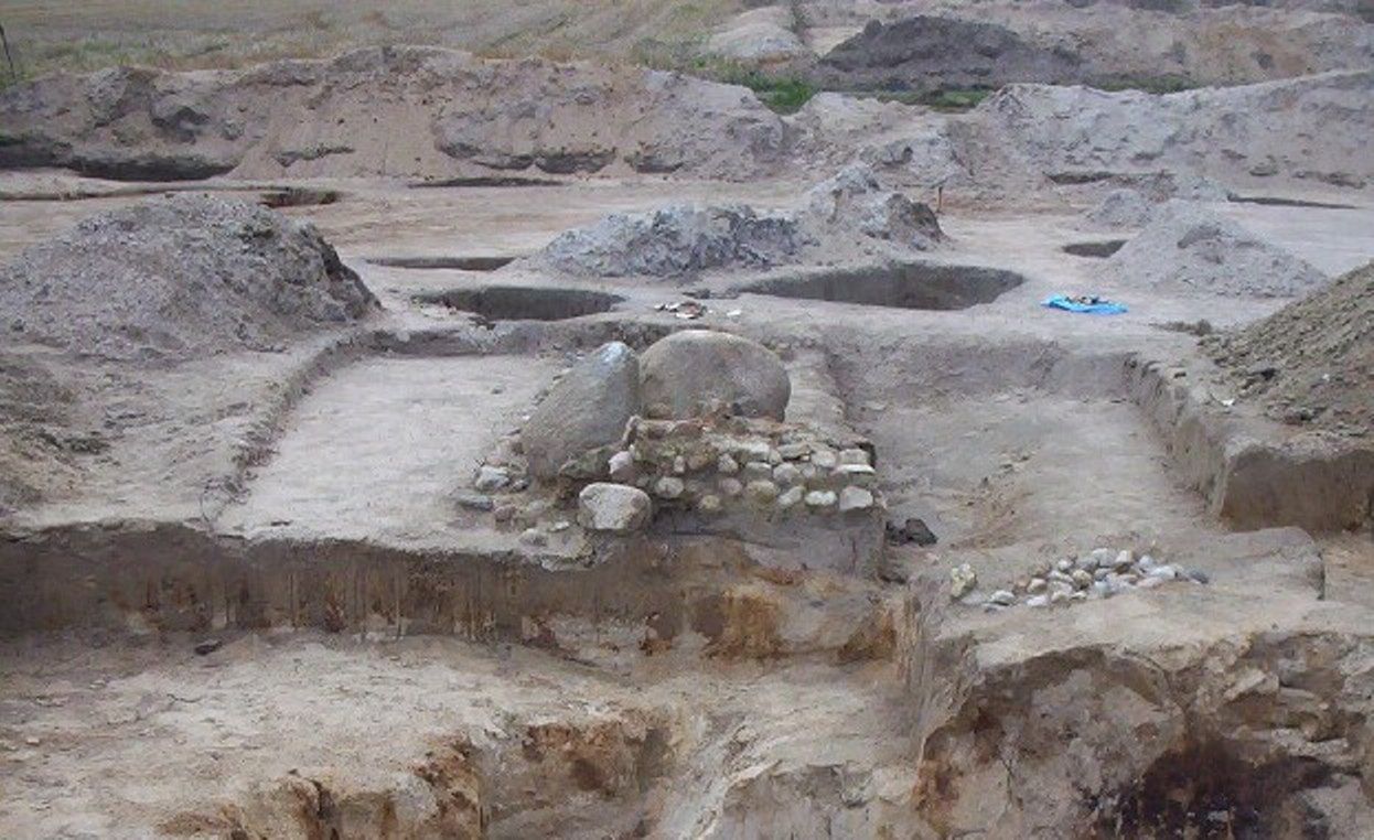 Liczą 350 mln lat. Najstarszy gad pochodził z Australii