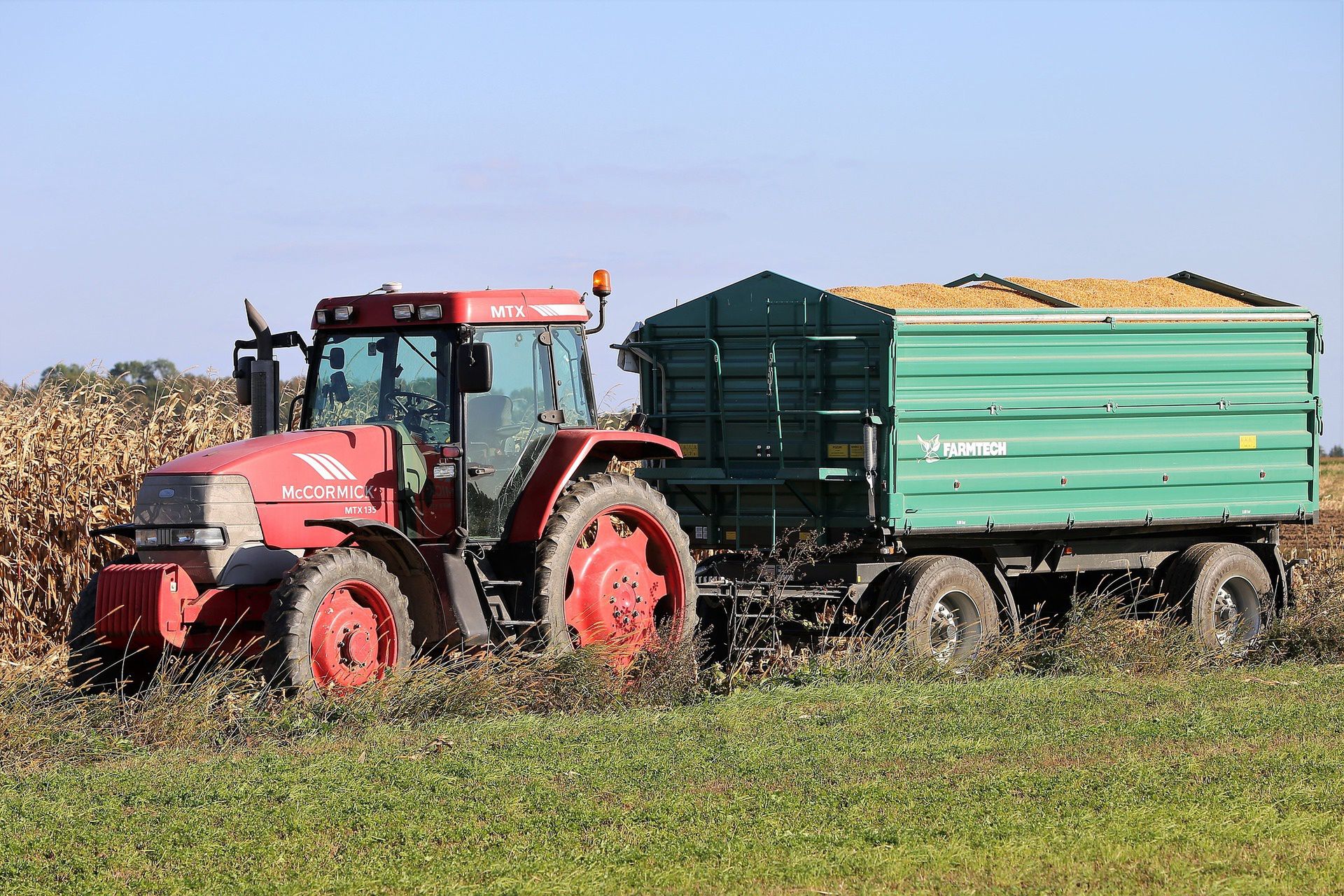 Czy w Polsce jest GMO? Inspekcja pokazała wyniki kontroli