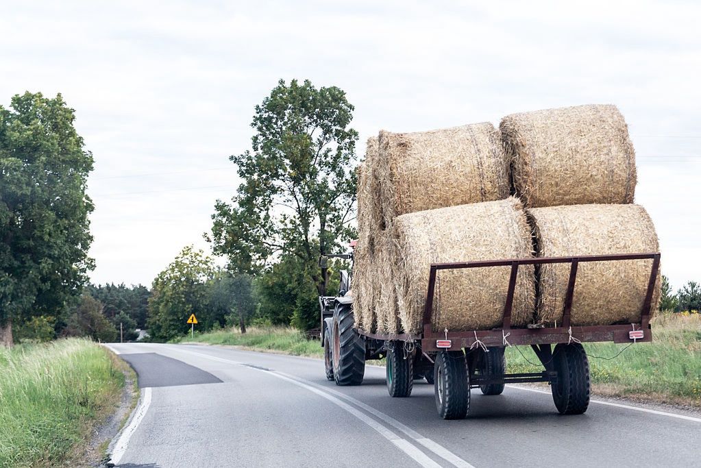 Rolnik emeryt. Oto jaką emeryturę dostanie po 25 latach