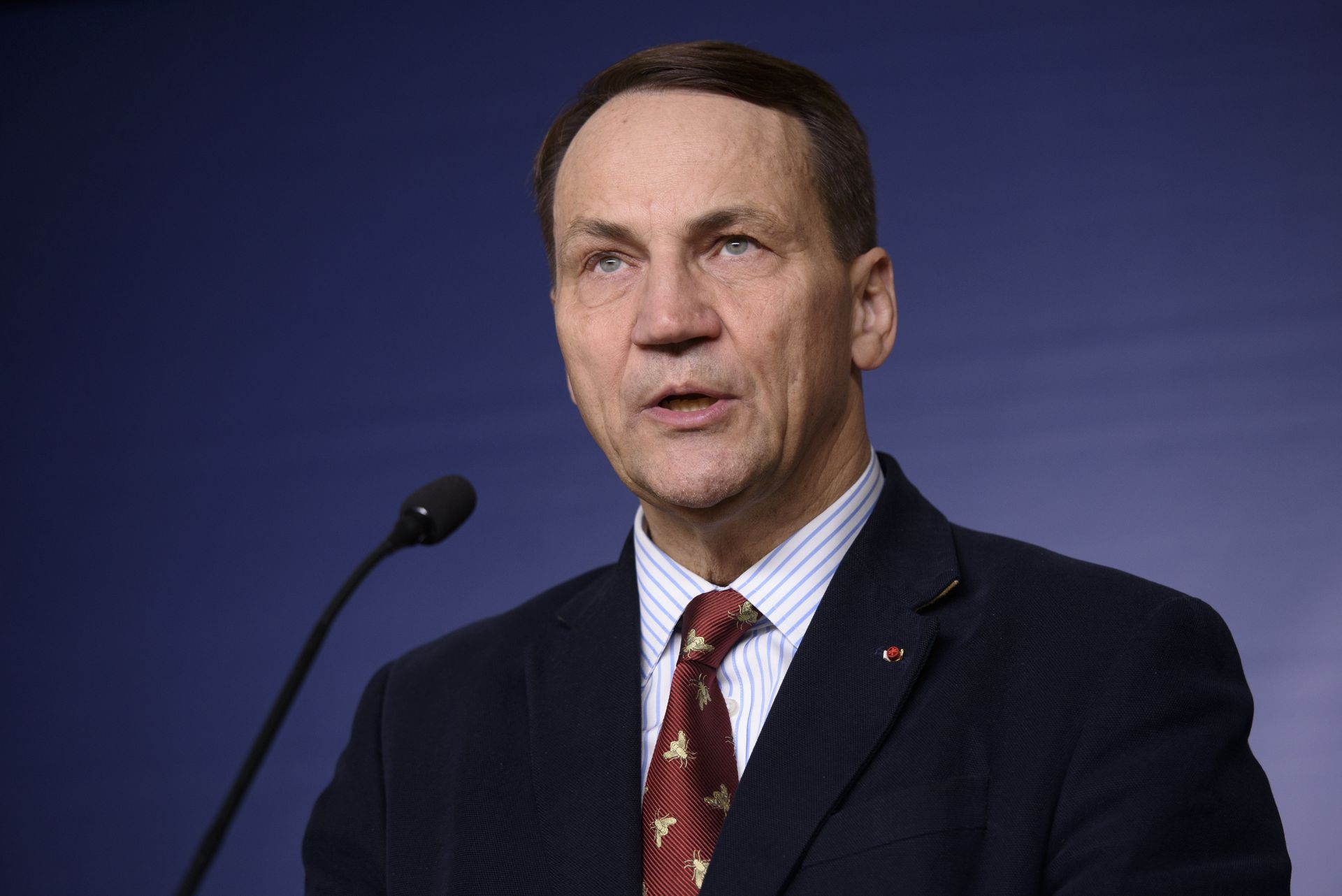 Sikorski o staraniach Hołowni o ONZ. "Wspieramy tę kandydaturę"