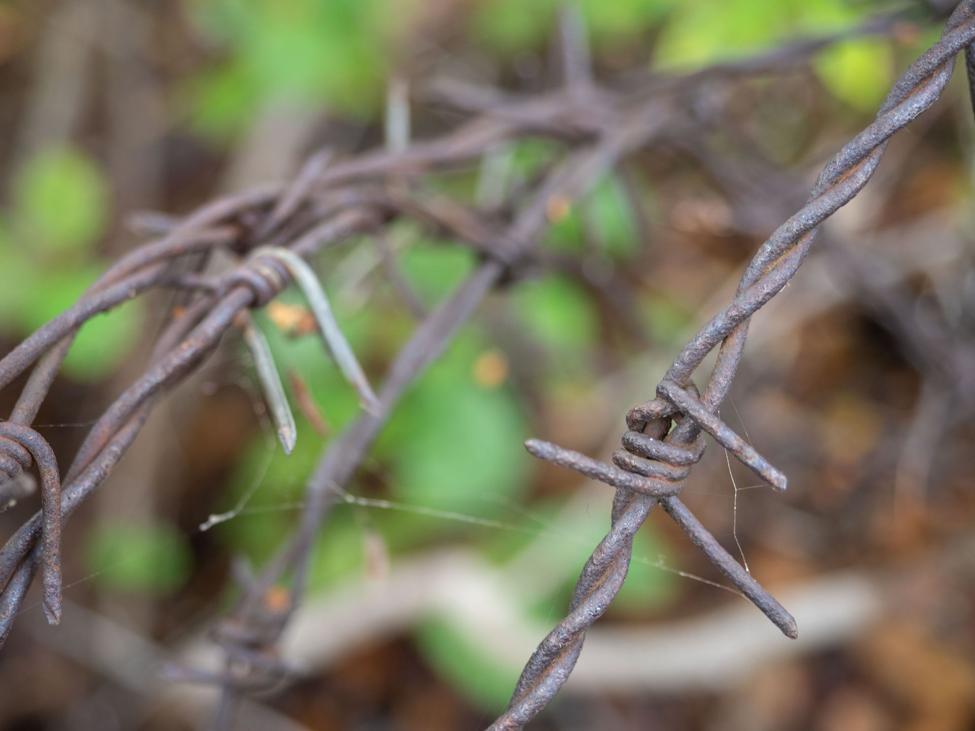 Spór o drut kolczasty w Szczecinie. Urząd interweniuje