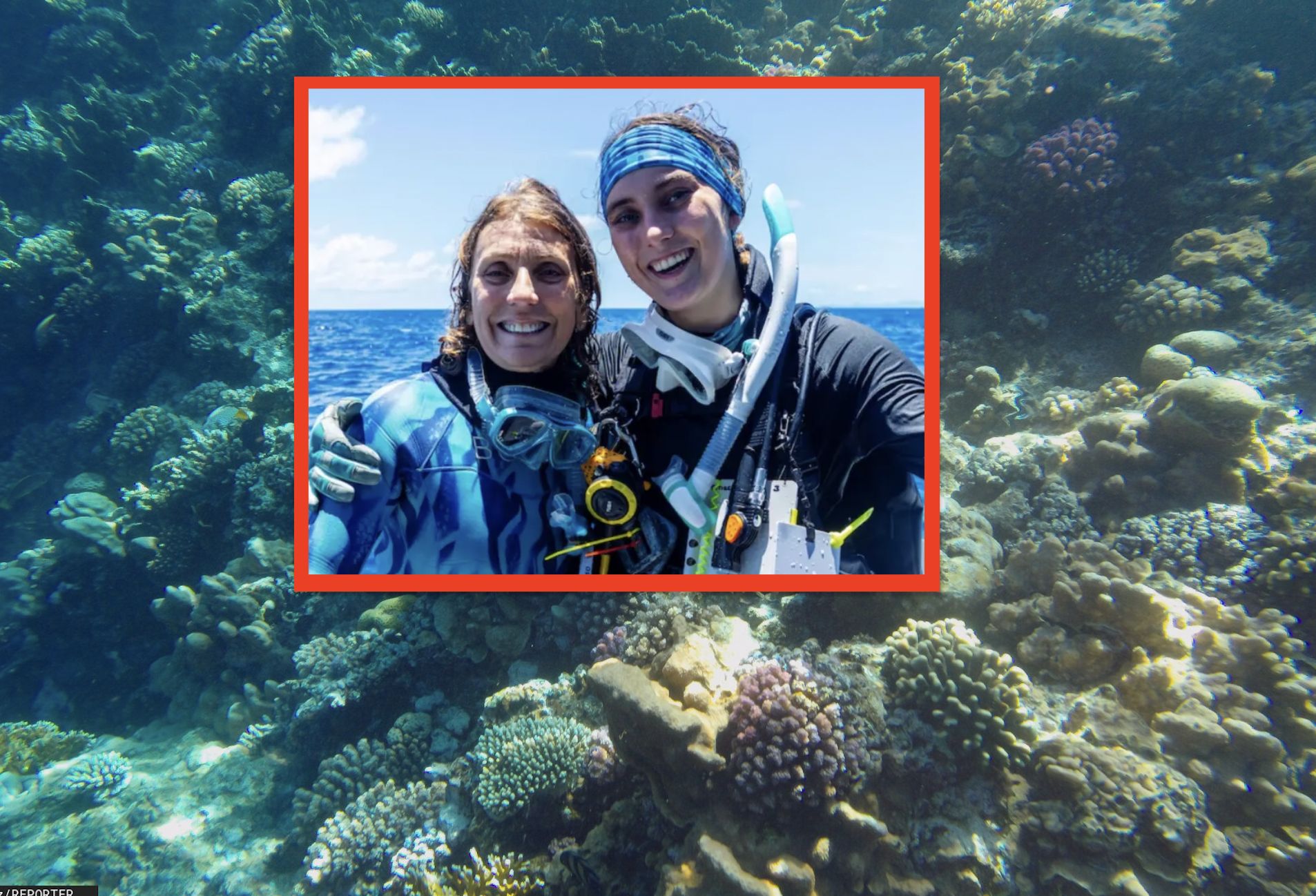 Największa kolonia korali. Zadziwiające odkrycie matki i córki