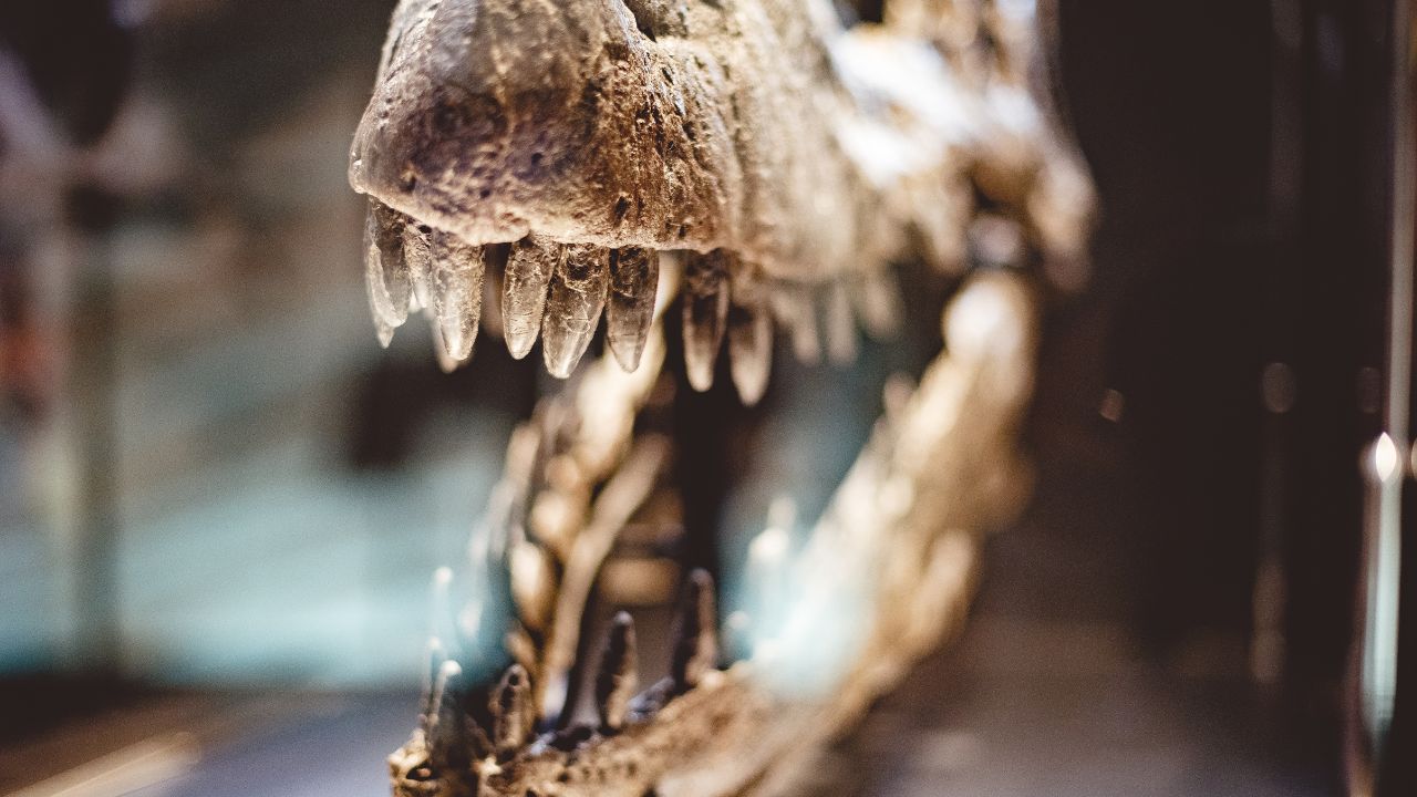 Powietrze z czasów dinozaurów. Udało się je odtworzyć