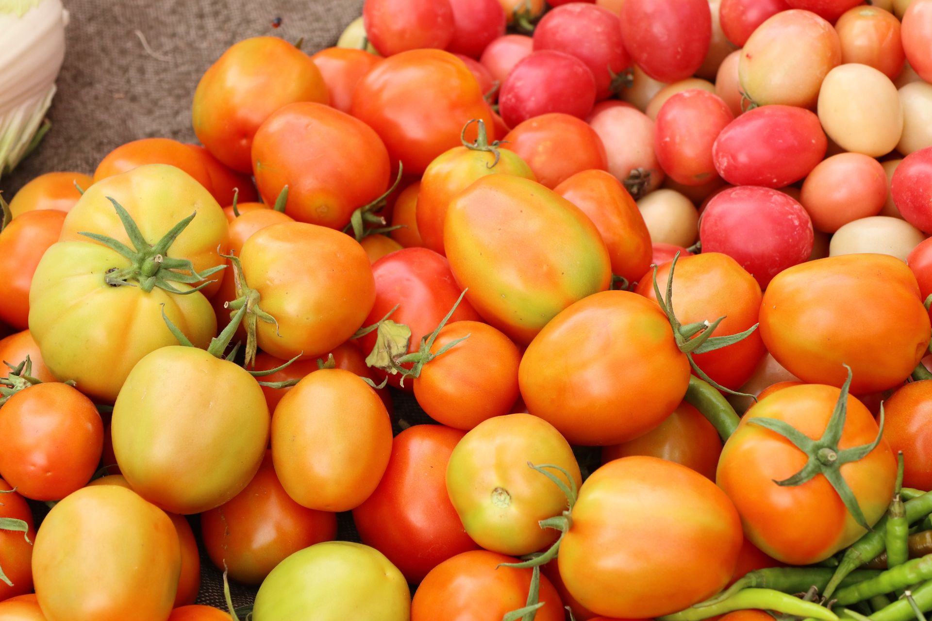 Najzdrowsza odmiana pomidorów. Czyści jelita jak szczoteczka, wzmacnia naturalną odporność