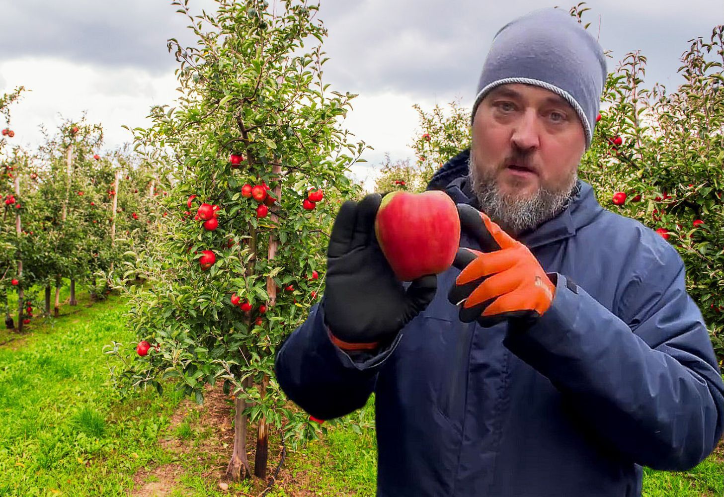 Sadownik pokazał, jak market zarabia za jabłkach. Tak rodzi się nowy trend - samozbiory