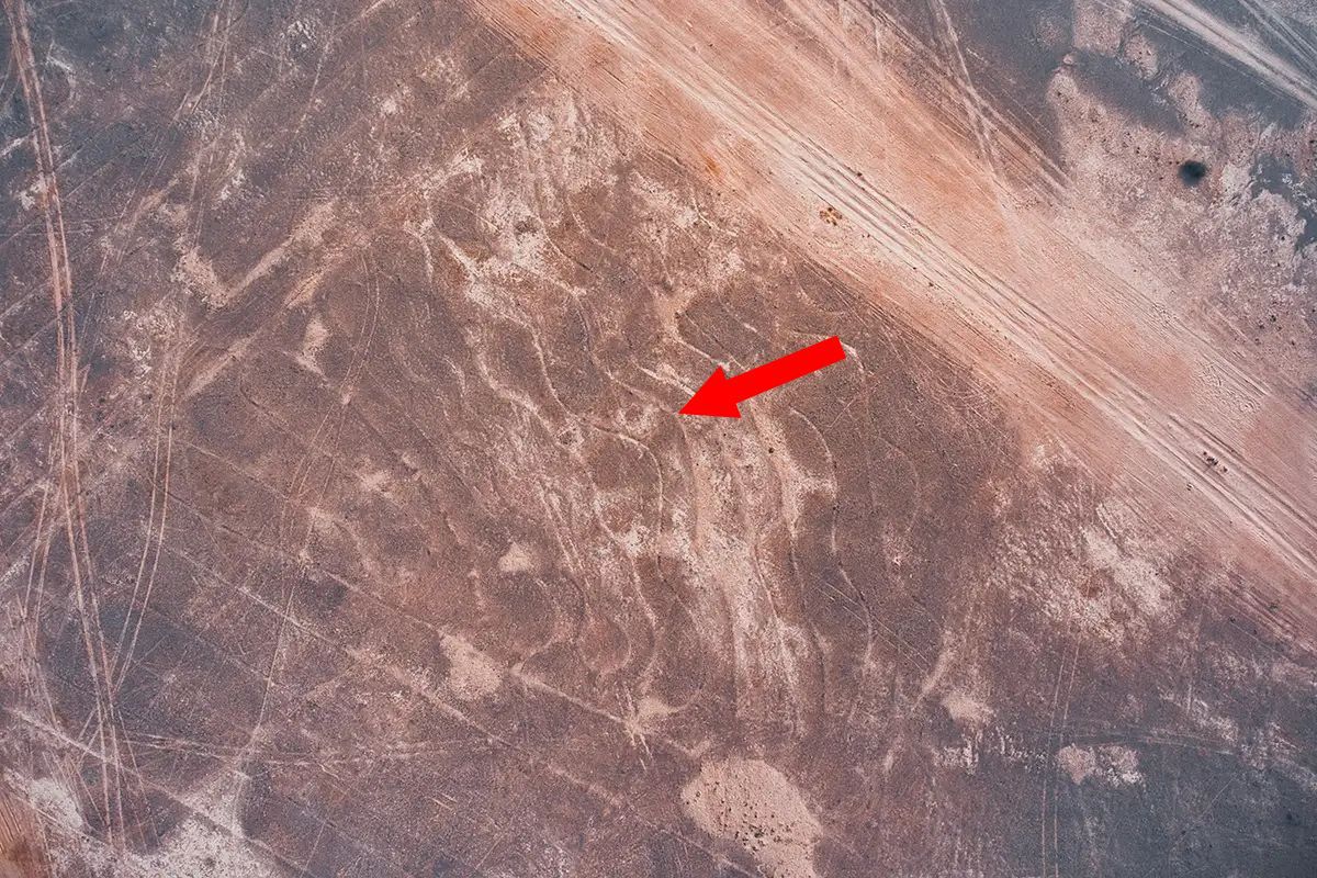 Tajemnicze rysunki na ziemi. Odkryli je przypadkiem