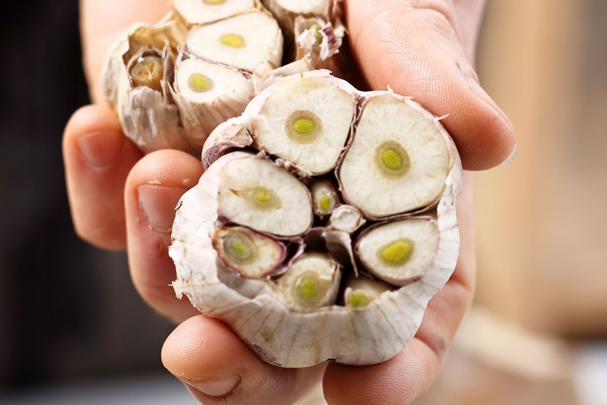 Prawdziwe skutki jedzenia czosnku. Wielu nie zdaje sobie z nich sprawy