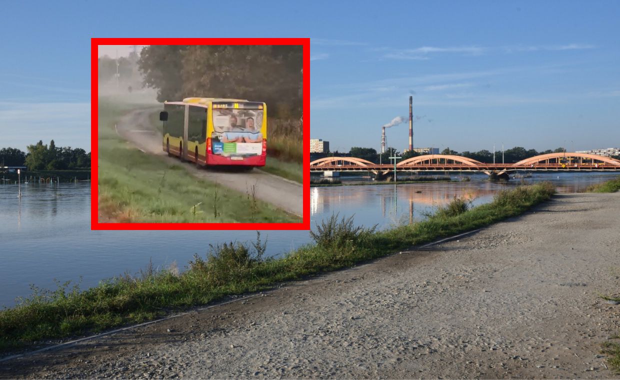 Autobus na wałach we Wrocławiu. Kierowca pomylił trasę