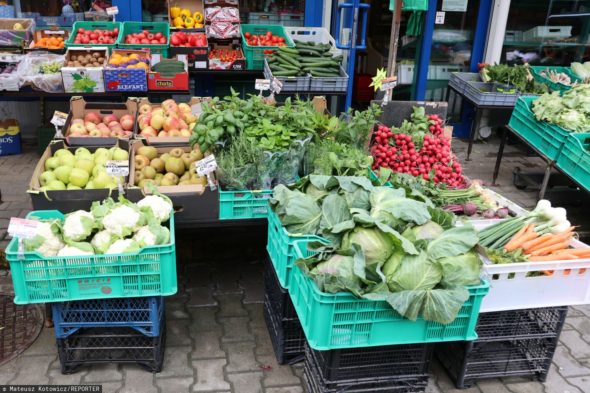 "Sprawdził się koszmarny sen importerów". Oto ceny nowalijek