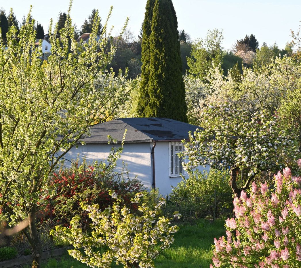 Zburzyli mu altanę. Stracił kota. Teraz wyganiają seniora z kontenera