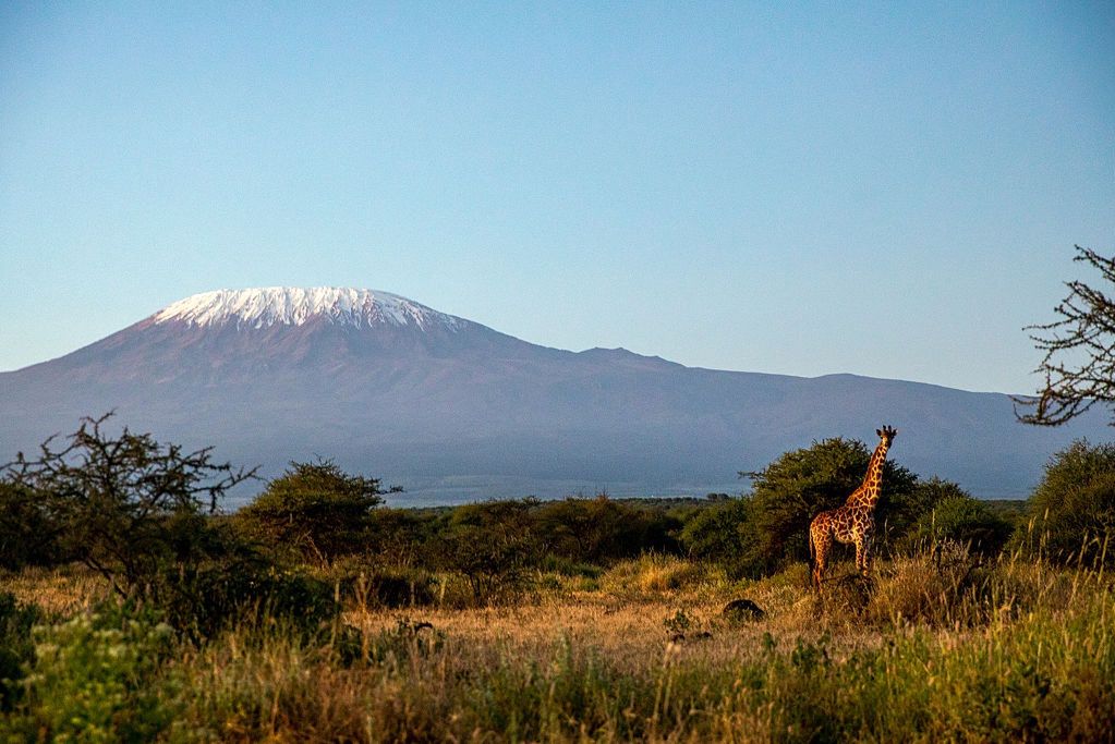 Tragiczny wypadek w Tanzanii. 38 ofiar śmiertelnych, 28 osób rannych