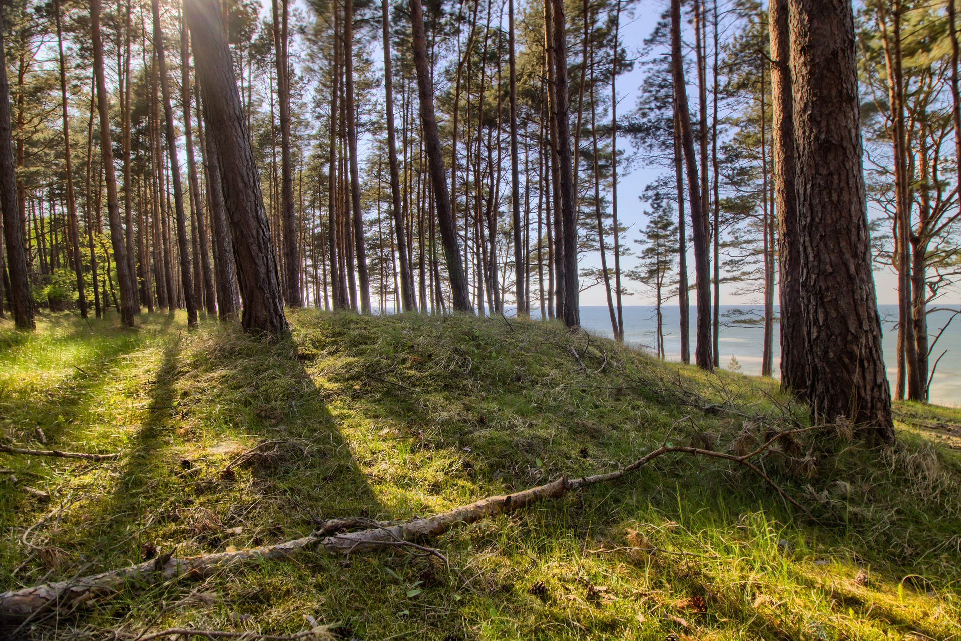 Urlop w Krynicy Morskiej. Ten hotel to znacznie więcej niż nocleg przy plaży