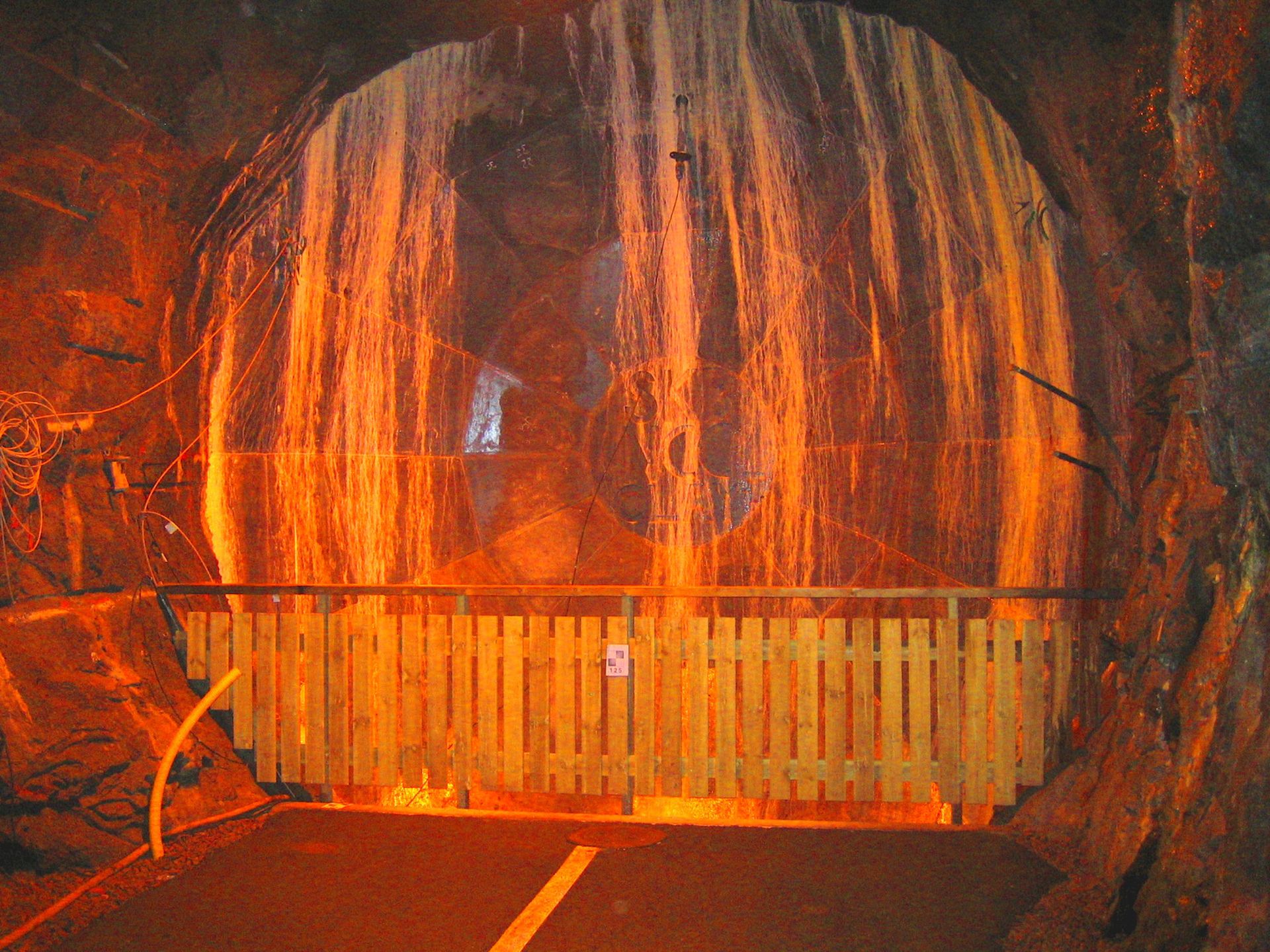 Tysiące lat zagrożenia. Napromieniowane koty na straży atomowych wysypisk