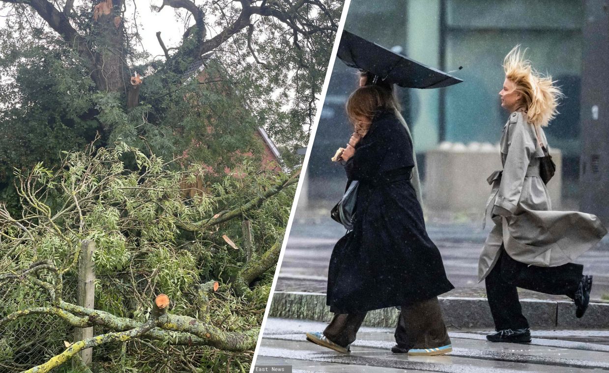 Sztorm Amy we Francji. Dwie ofiary śmiertelne i tysiące bez prądu