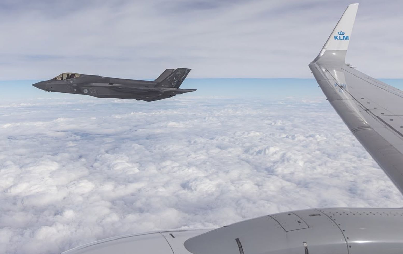 Wracali z igrzysk. Nagle zobaczyli je z okna samolotu