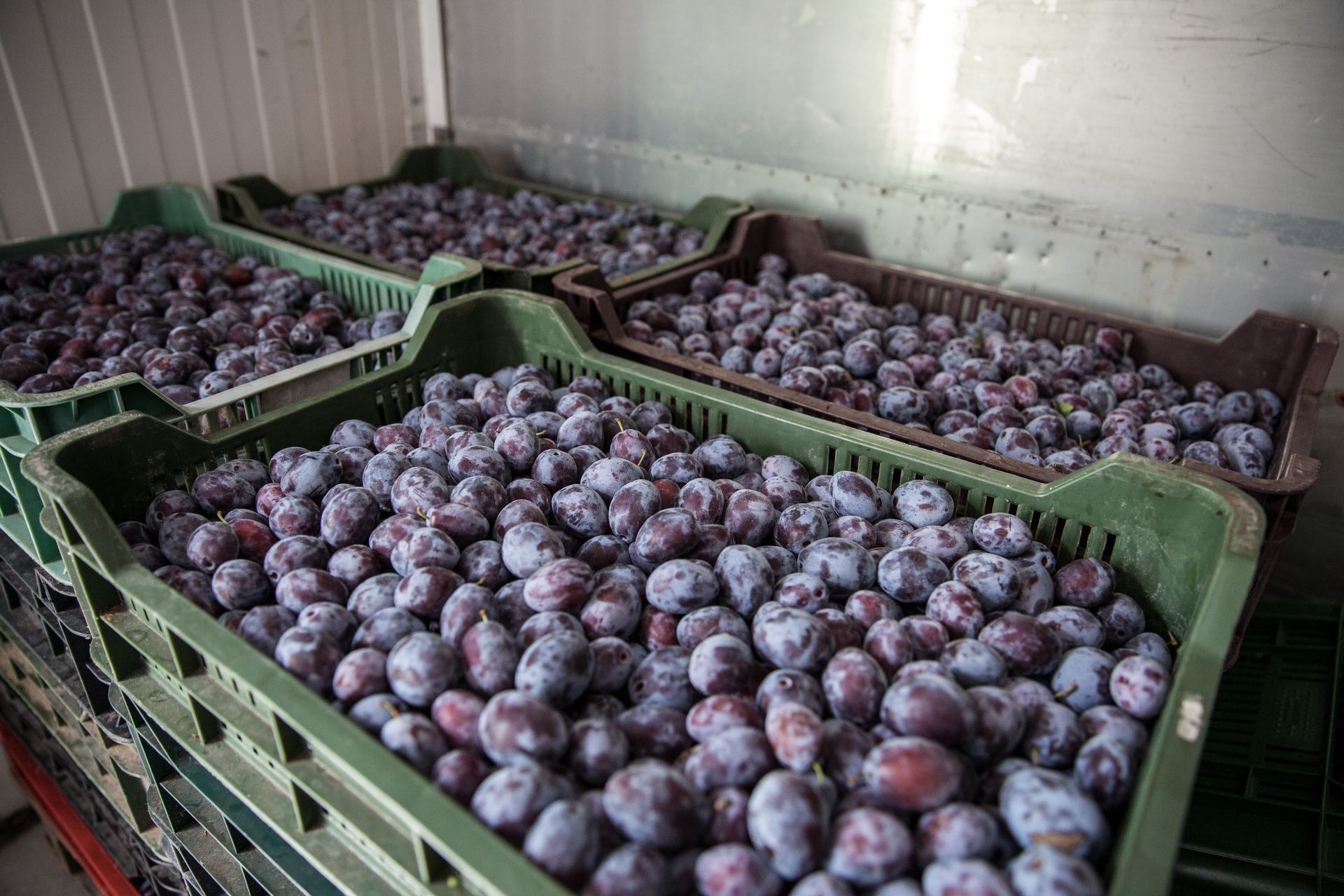 Zostawili go z problemem na 36 tys. zł. Poszkodowanych może być więcej