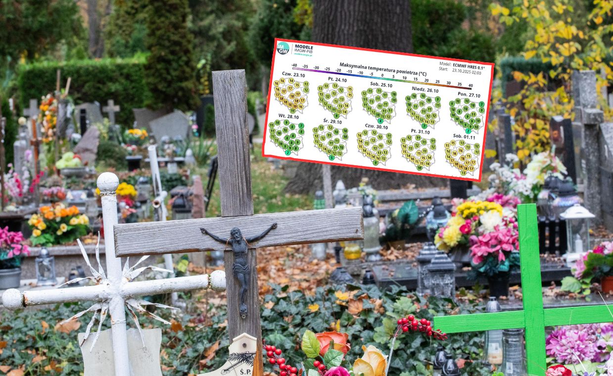 To nie koniec ciepła? Takie są prognozy na 1 listopada