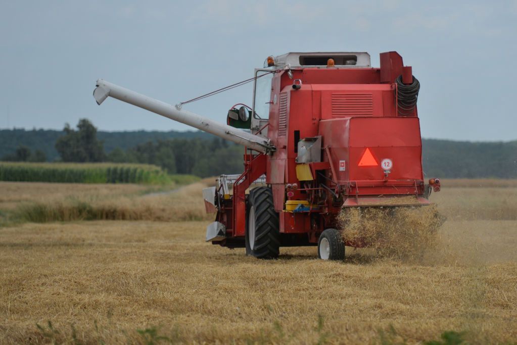 Rolnicy szukają ludzi. Oto stawki za pracę przy żniwach
