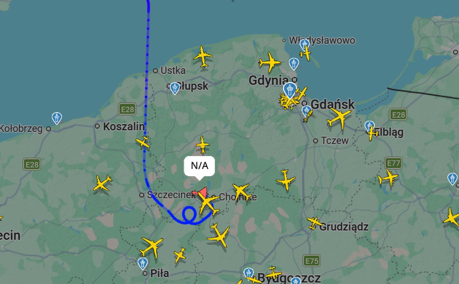 Niespodziewany gość. Wleciał nad Polskę od północy
