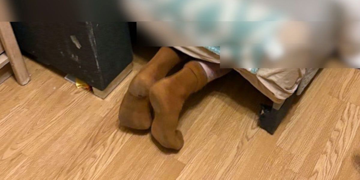 Kuriozalna kryjówka. Tu ukrył się poszukiwany listem