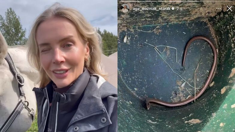 Agnieszka Woźniak-Starak znalazła węża w posiadłości na Mazurach. "Takiego zwierzątka jeszcze nie miałam"