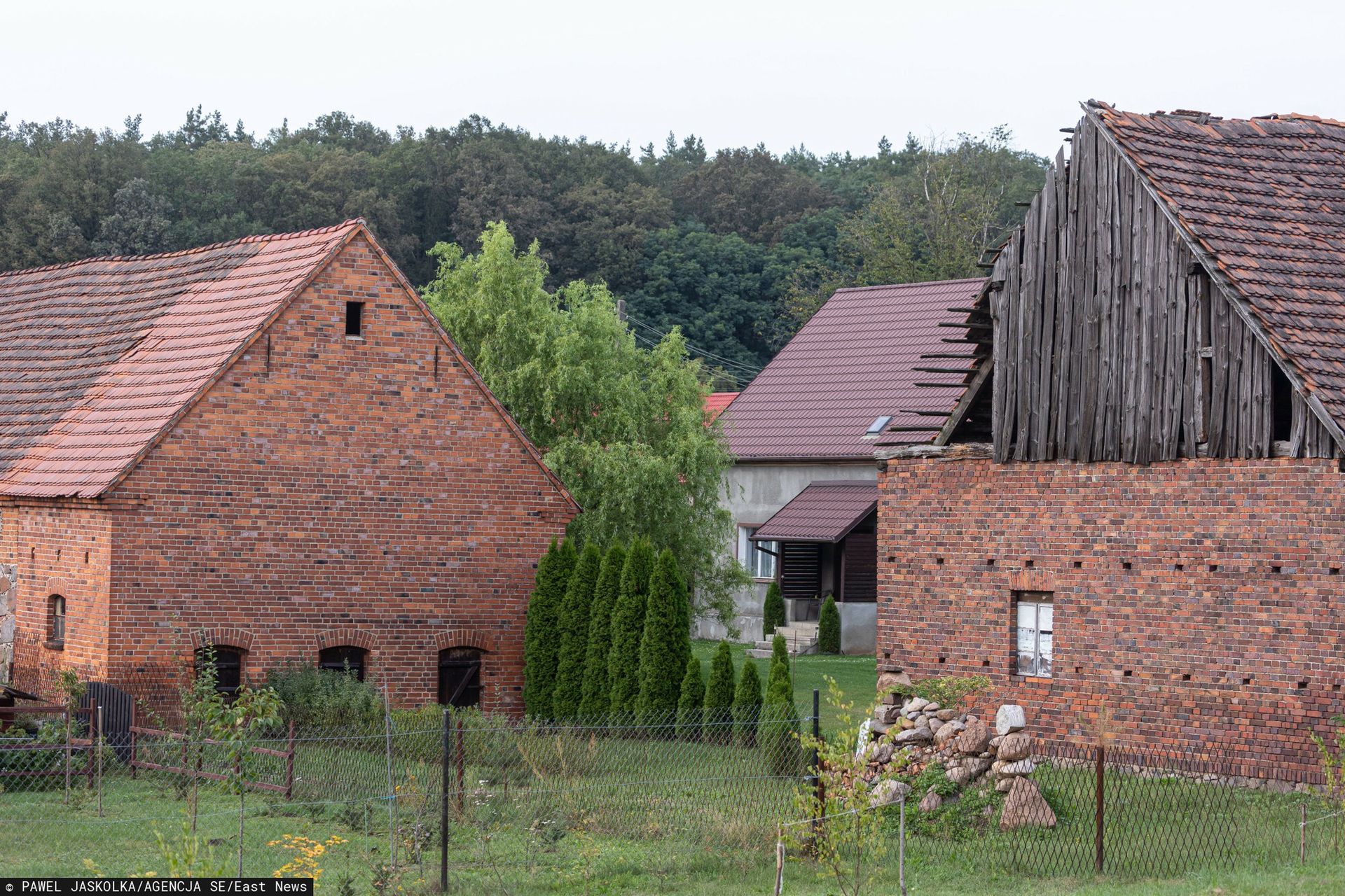 "To było długotrwałe katowanie". Zapadł wyrok w głośnej sprawie