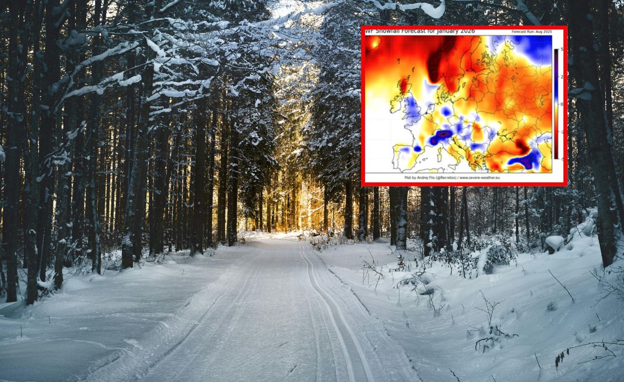 Wiadomo, kiedy spadnie śnieg. Synoptycy przewidują, jaka będzie zima