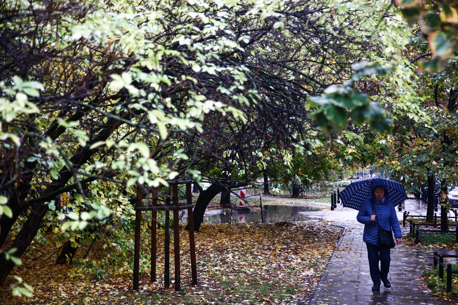 Antycyklony nad Europą. W Polsce będzie wyjątkowo sucho