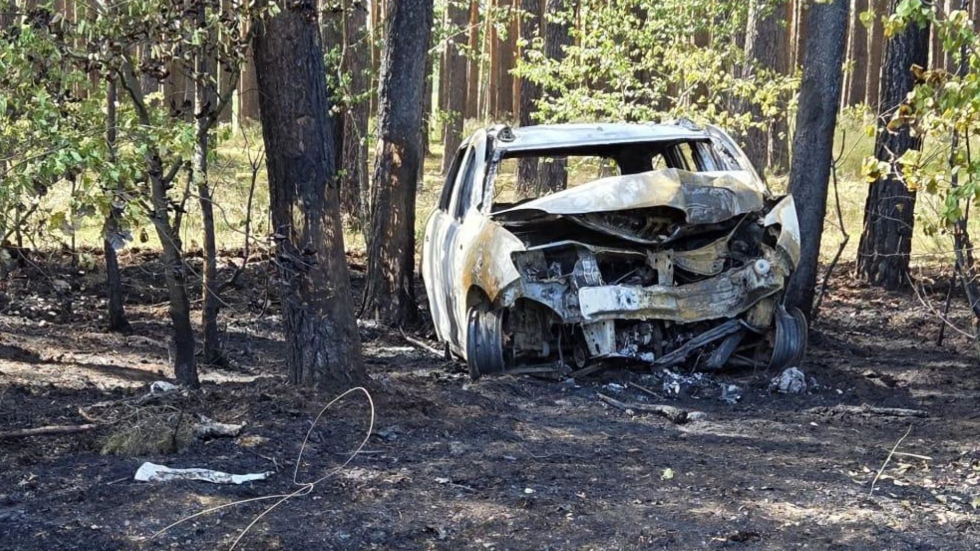 Zwęglone ciała w aucie. Prokuratura bada wypadek