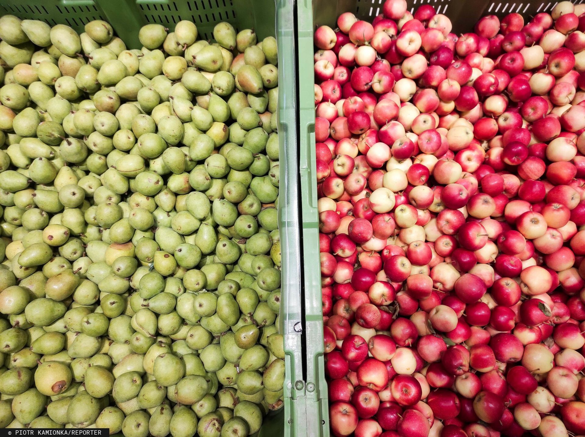 Eksportujemy aż miło. Rekordowy rok polskich producentów żywności