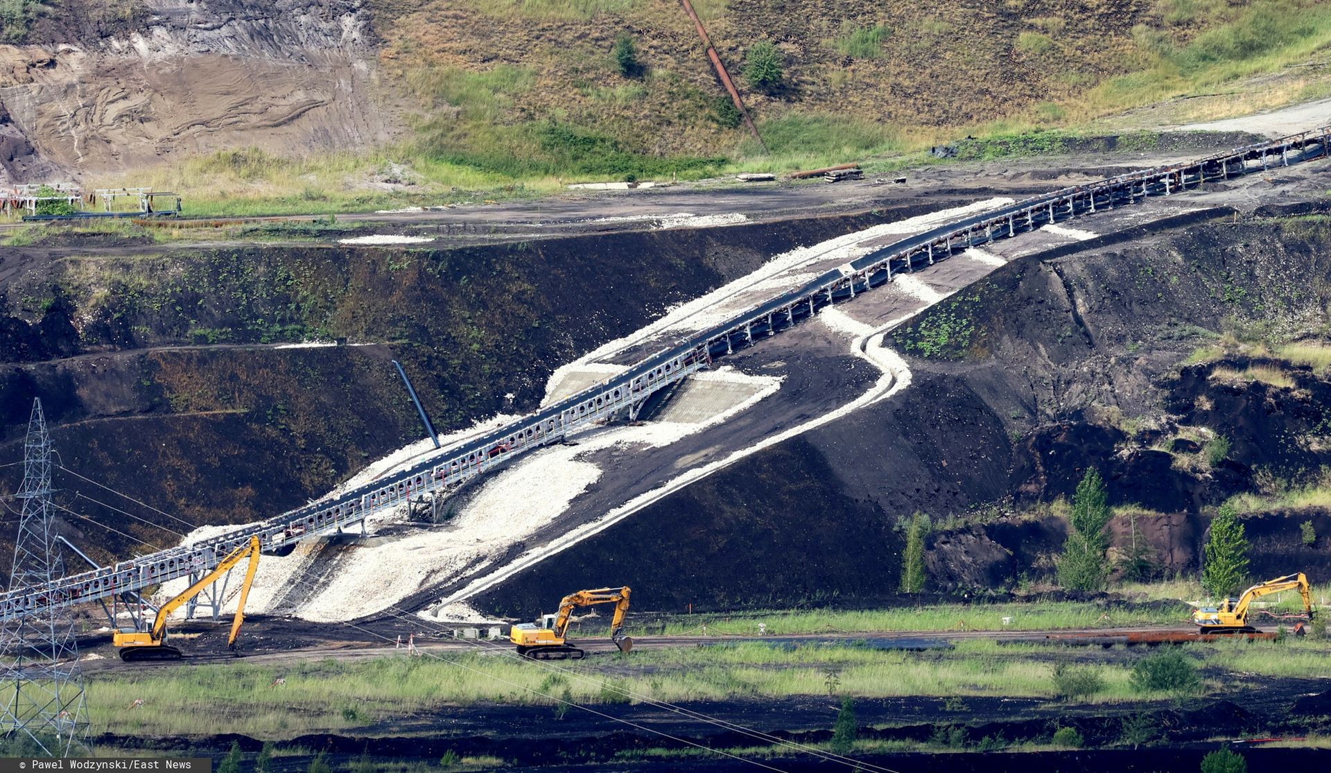 Sensacyjne odkrycie w Polsce. Sprzed 17 mln lat