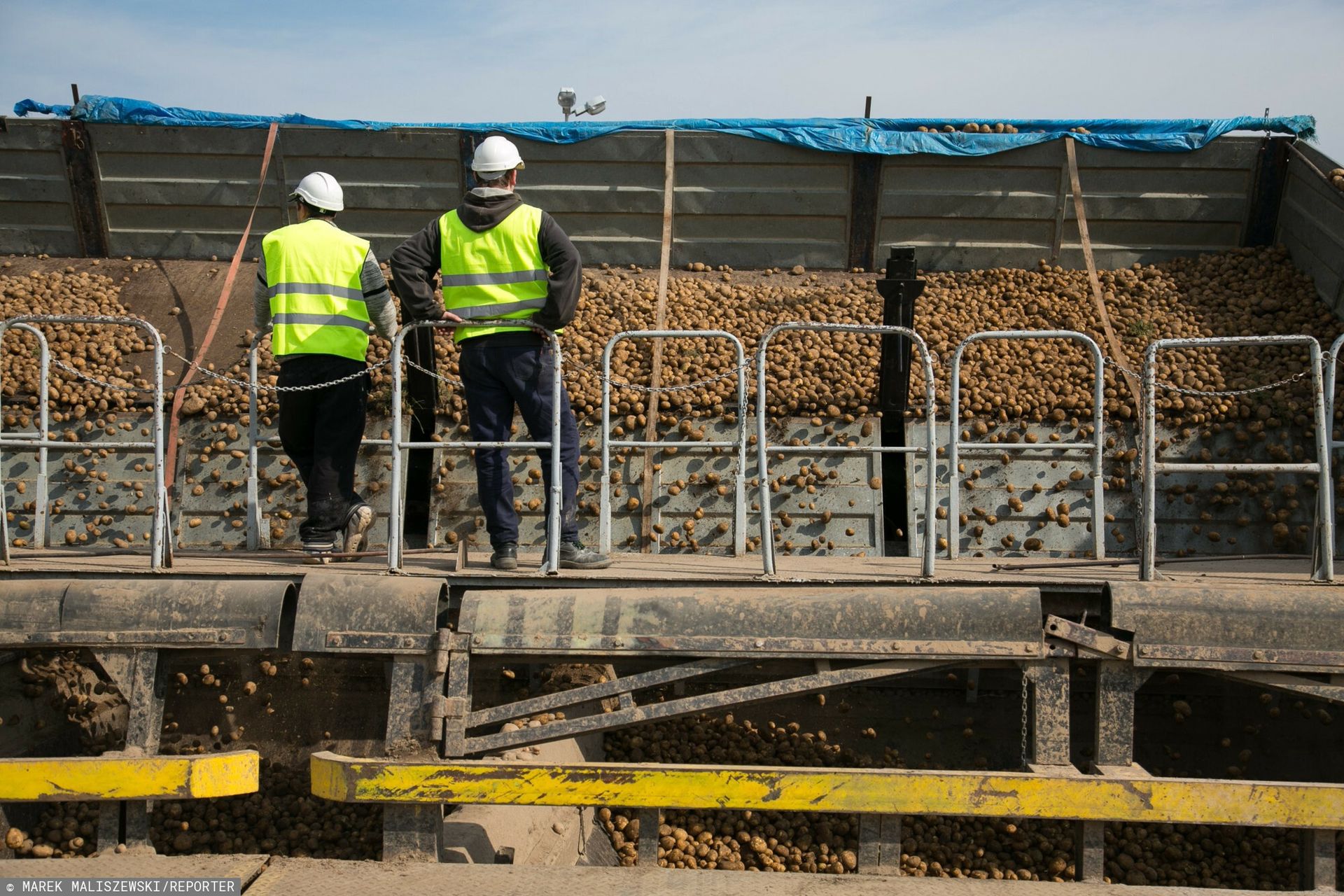 Zmowa dociska rolników? Urząd odpowiada ministrowi rolnictwa