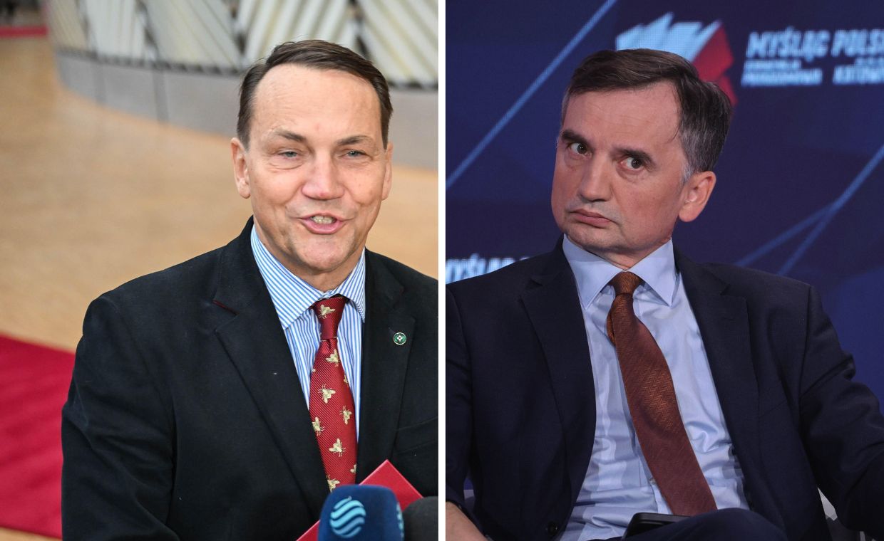 Sikorski robi przytyk Ziobrze. "Może mógłby zbadać los zebr?"