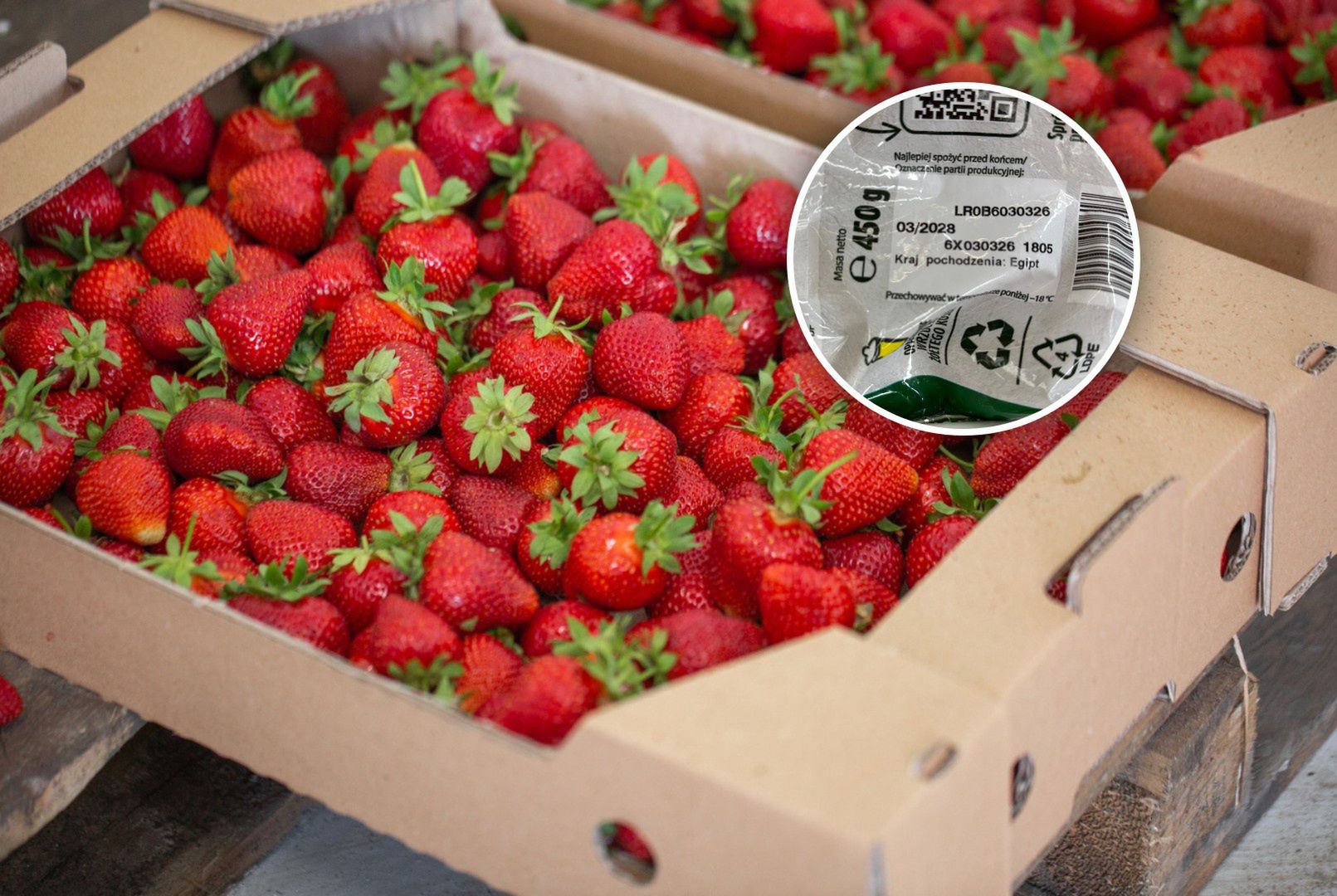 Polska truskawkową potęgą. Tylko czemu zalewają nas mrożonki z Afryki?