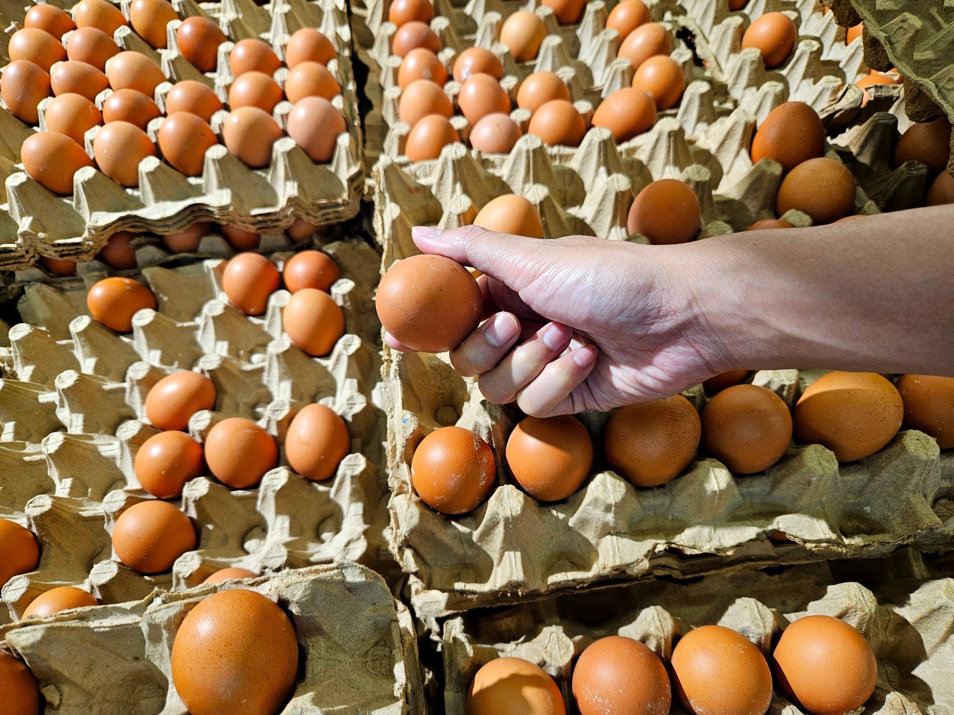 Większość Polaków nie ma pojęcia. Oto co naprawdę oznacza kolor skorupki i napis na jajku