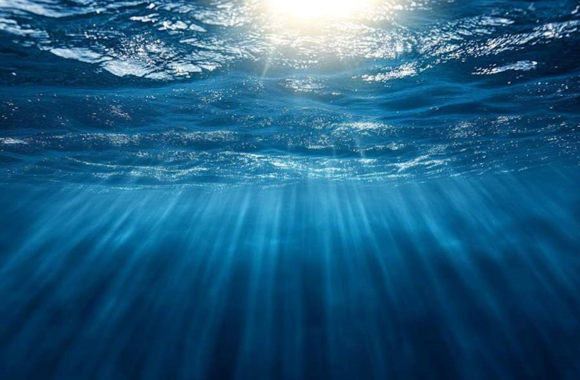 Wciąż jest wiele do odkrycia. 99,999 proc. dna morskiego pozostaje niezbadane