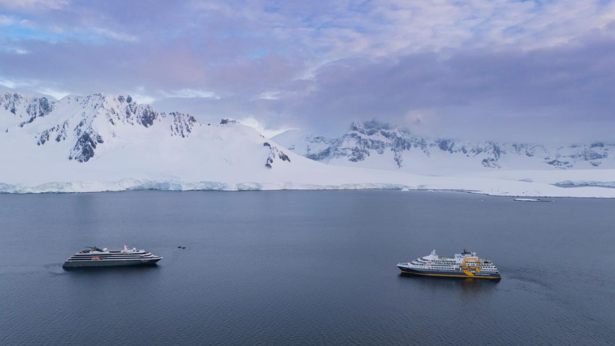 Wyjątkowe spotkanie. Miało miejsce u wybrzeży Antarktydy