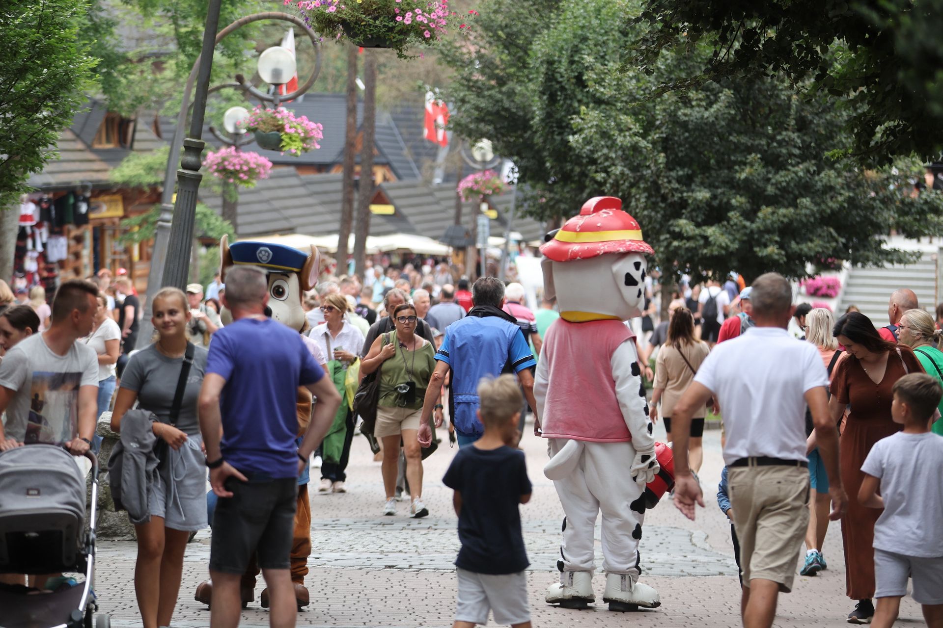 Chcą odwołać burmistrza. W Zakopanem ruszyła zbiórka podpisów