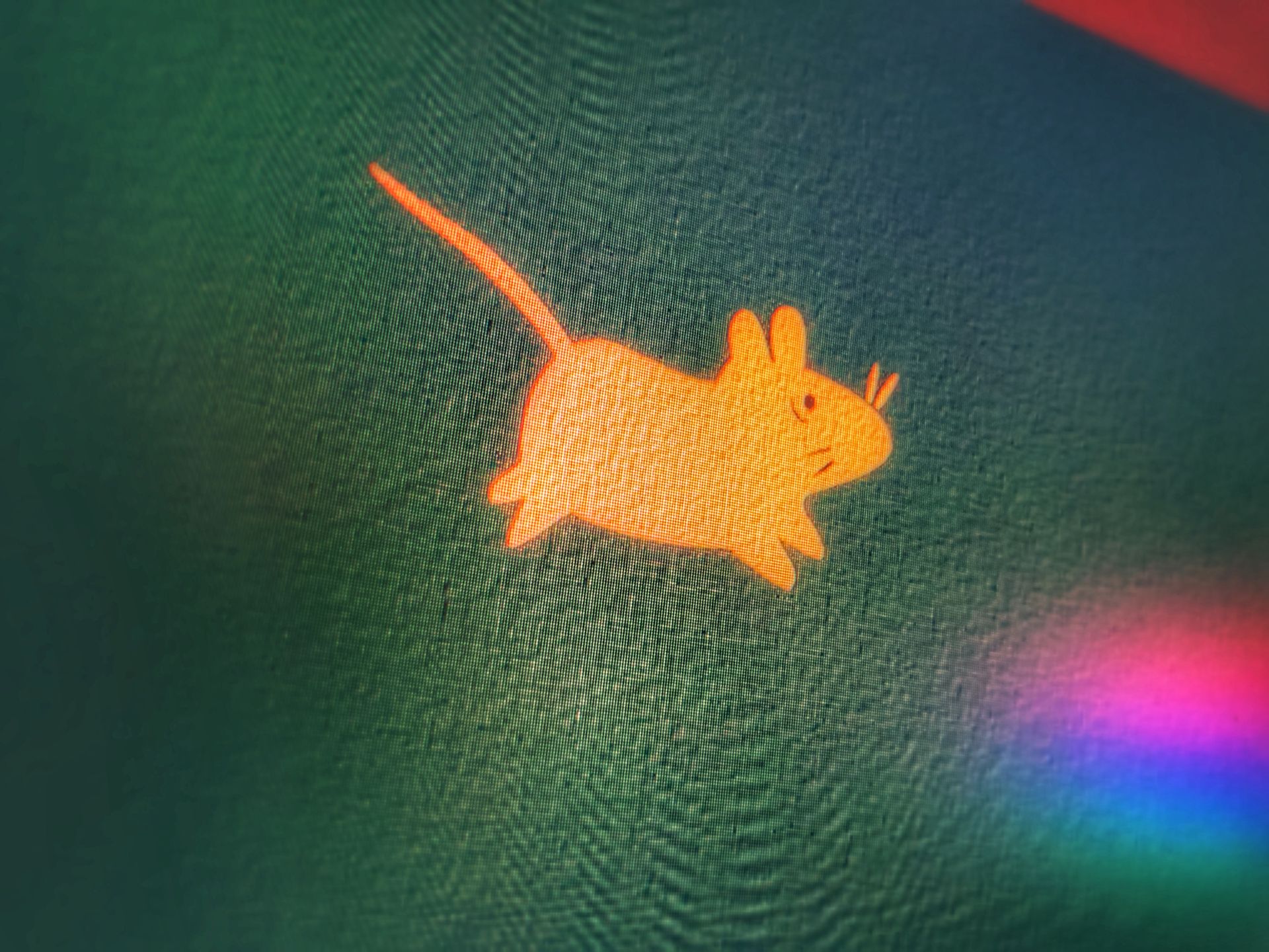 Xubuntu: strona domowa hostowała trojana